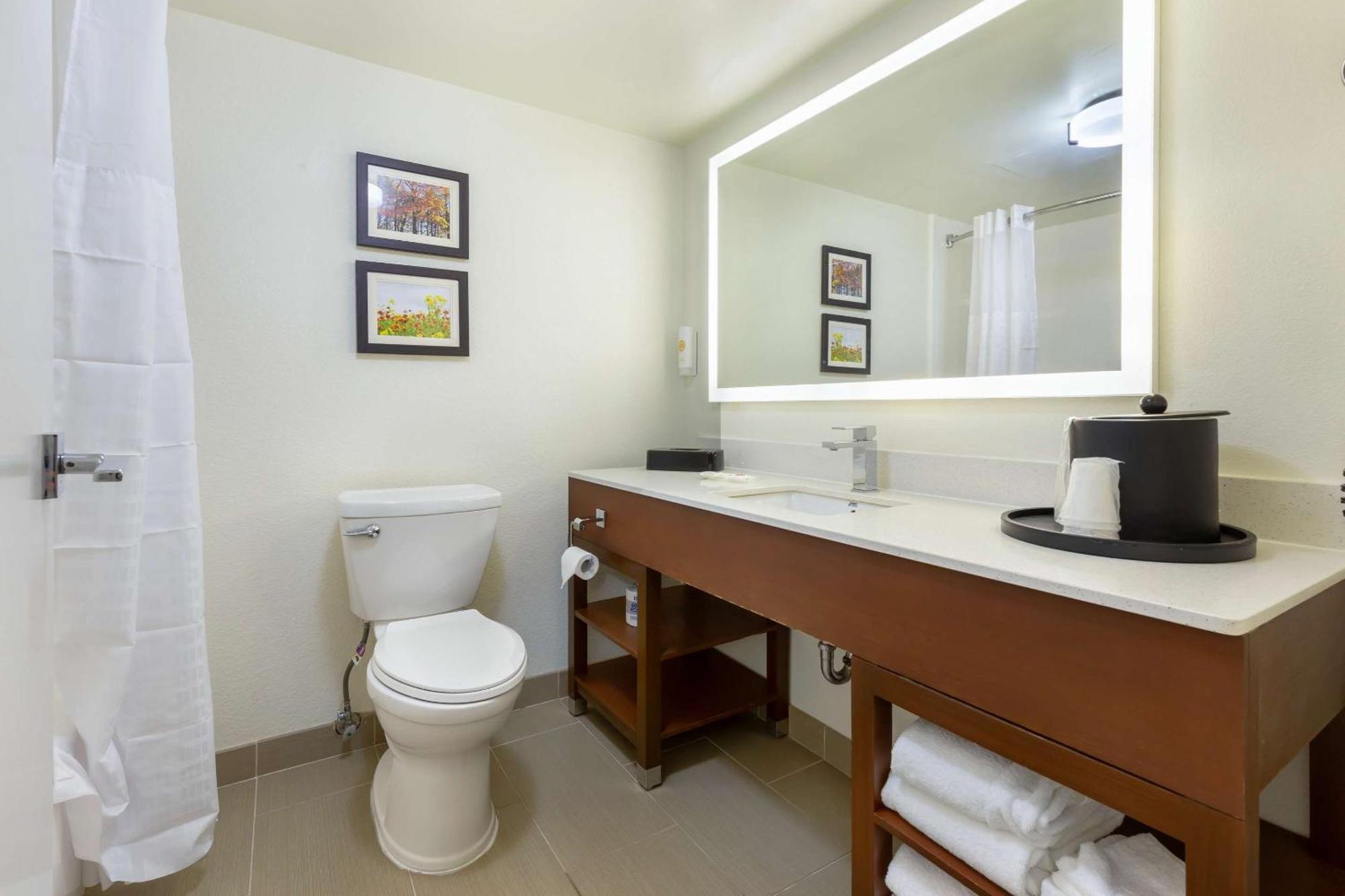 ווינסטון-סאלם Comfort Suites Hanes Mall מראה חיצוני תמונה